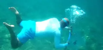 Su altındaki atıkları pet şişelerle taşıyıp balıklara ev yaptı