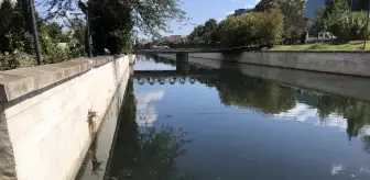 Sadabad Deresi'ndeki koku ve kirliliğe vatandaşlar tepki gösterdi