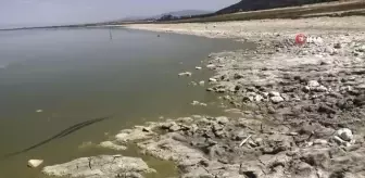 Burdur gölünde alg patlaması...Göl kahverengiye döndü