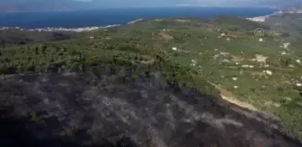 Mudanya'da çıkan orman yangını kontrol altına alındı