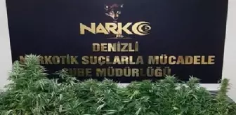 Son dakika haberleri... Denizli'de uyuşturucu operasyonuna 13 gözaltı