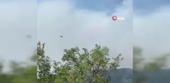 Kazdağları'ndaki yangına 7 helikopter bir uçakla müdahale ediliyor