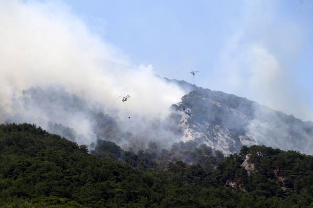 Son Dakika: Kazdağları'nda orman yangını! Edremit'teki yangına havadan ve karadan müdahale devam ediyor