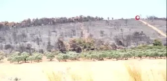 Foça'da 'cüruf depolama alanının' kaldırılması için eylem yaptılar