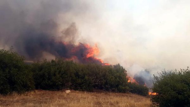Manisa'nın Kula ilçesinde makilik alanda çıkan yangın ormana sıçradı Manisa'nın Kula ilçesinde makilik alanda çıkan yangın ormana sıçradı