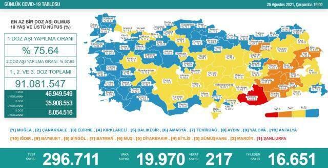 Son Dakika: Türkiye'de 25 Ağustos günü koronavirüs nedeniyle 217 kişi vefat etti, 19 bin 970 yeni vaka tespit edildi