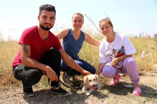 Yavru köpeği kafasından öpüp ölüme terk ettiler! 8 aylık hamile kadın, yeni ailesi oldu