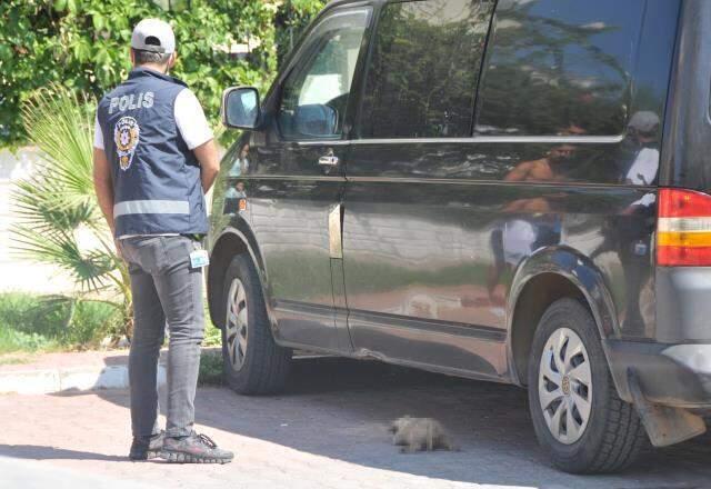 Mahalle sakinleri hüngür hüngür ağladı! Yavru köpekleri önce zehirleyip sonra yakmışlar