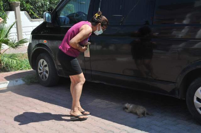 Mahalle sakinleri hüngür hüngür ağladı! Yavru köpekleri önce zehirleyip sonra yakmışlar