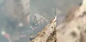 GÜMÜŞHANE - Köyde çıkan yangında 2 ev ve ahır kullanılamaz hale geldi