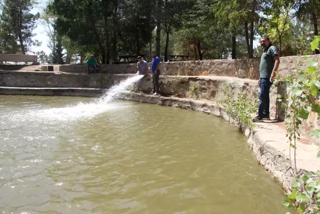 Balıkları hakkındaki efsane hüzünlendiriyor! Yıllardır durmadan akan pınar tehlikede