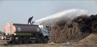 Mısır silajı balyalarının bulunduğu tarlada çıkan yangın kontrol altına alındı