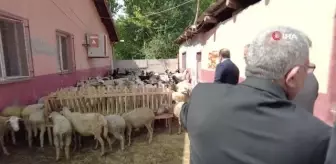 Antalya'da yangından zarar gören vatandaşlara Orhaneli'den yardım eli uzandı