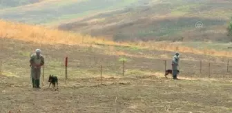Azerbaycan'ın işgalden kurtarılan kentlerinde 10 aydır karış karış mayın temizliği yapılıyor