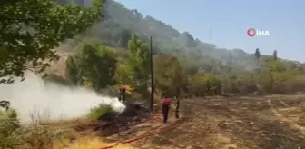 Söke'de yangın...10 dönüm zirai alan zarar gördü