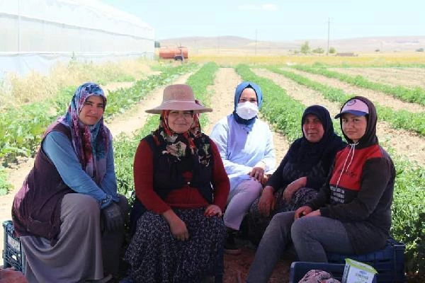 Kaymakam Elif, 20 bin nüfuslu ilçede kooperatif kurarak 55 kadını iş sahibi yaptı