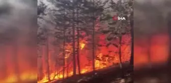 Son dakika haber! Sarıkamış Ormanları'nda korkutan yangın: Ekiplerin müdahalesi sürüyor