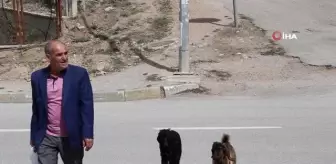 İzzettin amca ile yavru keçinin dostluğu