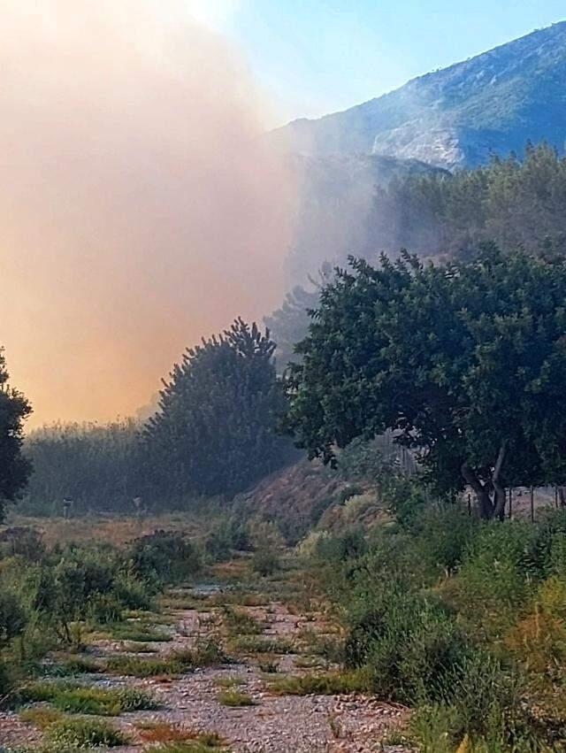 Aydın'da ormanlık alanda yangın çıktı! Alevlere karadan ve havadan müdahale başlatıldı