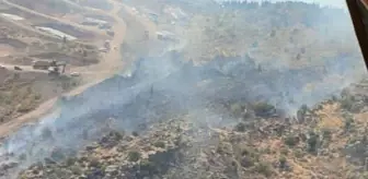 İzmir'de makilik yangını (2)