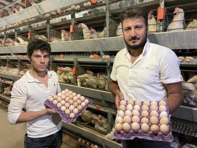 Annesini örnek aldı, 15 bin tavuklu çiftlik sahibi oldu! Günlük kazancı 14 bin lira
