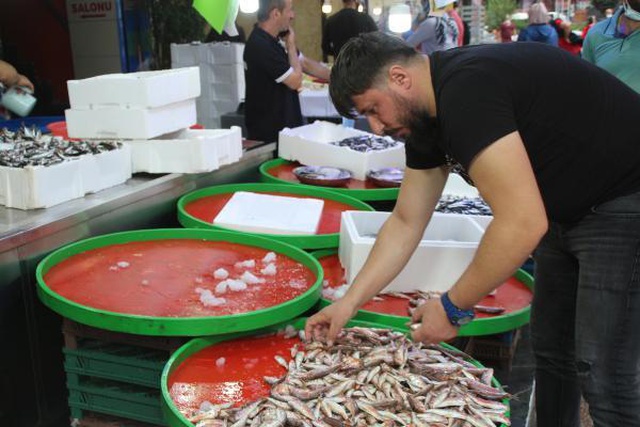 İstavritin kilo fiyatı 5 liraya düştü, vatandaş kasayla aldı