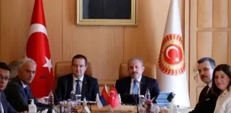 TBMM Başkanı Şentop, Sırbistan Ulusal Meclis Başkanı Ivica Daçiç ile bir araya geldi (1)