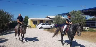 Babasına özendi 7 yaşında at binmeye başladı