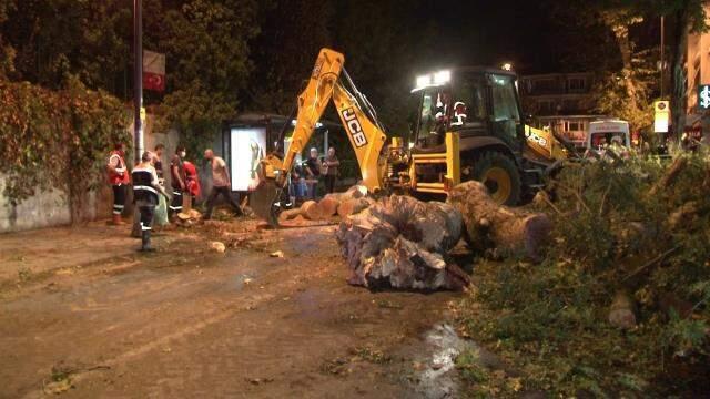 Fırtına nedeniyle devrilen ağaçtan kıl payı kurtuldu! Olay anı güvenlik kamerasına yansıdı