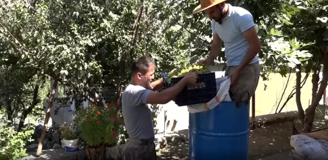 9 kilo üzümden 1 kilo pekmez elde edip, kilosunu 100 liradan satıyorlar
