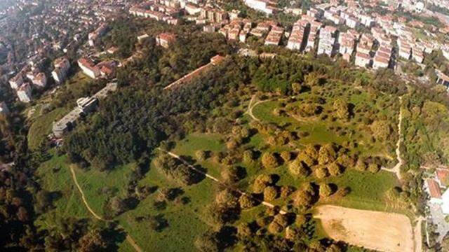 Validebağ Korusu'na sabah saatlerinde iş makineleri girdi, gönüllülerle görevliler arasında arbede yaşandı Validebağ Korusu'na sabah saatlerinde iş makineleri girdi, gönüllülerle görevliler arasında arbede yaşandı