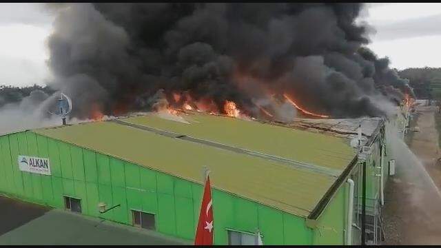 Son Dakika: Şile'de bir fabrikada yangın çıktı! Olay yerine itfaiye ekipleri sevk edildi Son Dakika: Şile'de bir fabrikada yangın çıktı! Olay yerine itfaiye ekipleri sevk edildi