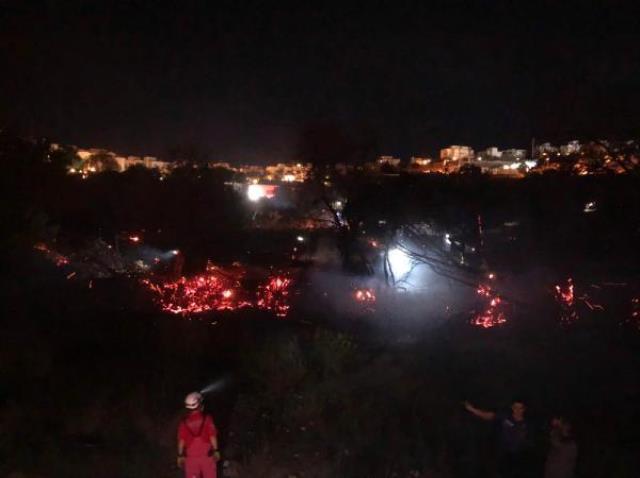 Bodrum'da makilik alanda çıkan yangın 5 hektarlık alanı küle çevirdi