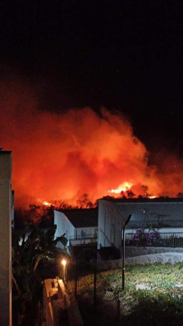 Bodrum'da makilik alanda çıkan yangın 5 hektarlık alanı küle çevirdi Bodrum'da makilik alanda çıkan yangın 5 hektarlık alanı küle çevirdi