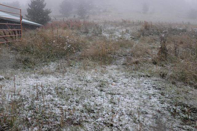 Bolu'ya yılın ilk karı düştü Bolu'ya yılın ilk karı düştü