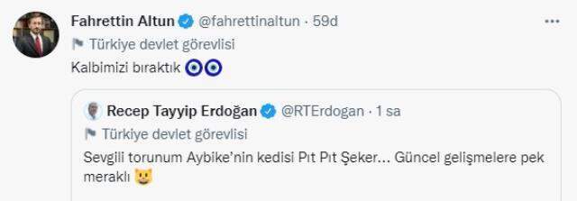 Cumhurbaşkanı Erdoğan, torununun kedisiyle fotoğrafını paylaştı Cumhurbaşkanı Erdoğan, torununun kedisiyle fotoğrafını paylaştı