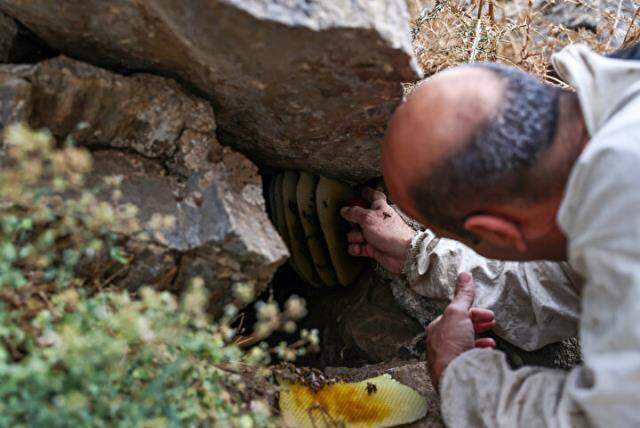 Altın kadar değerli! Kayalıkların arasından bin bir güçle çıkardıkları balın kilosunu 2 bin 500 liradan satıyorlar Altın kadar değerli! Kayalıkların arasından bin bir güçle çıkardıkları balın kilosunu 2 bin 500 liradan satıyorlar