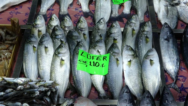 Denizlerin prensi lüfer bollaştı, fiyatı 140 liradan 100 liraya düştü Denizlerin prensi lüfer bollaştı, fiyatı 140 liradan 100 liraya düştü