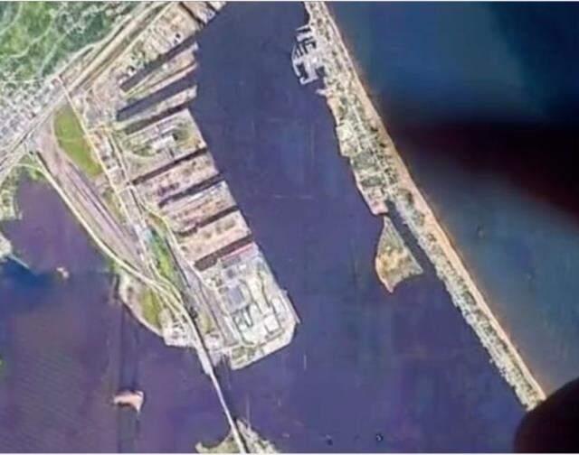 Pencerede gülümserken kameraya yakalandı! Evde tutulan yaratık ABD'de tartışma yarattı