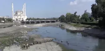 Seyhan Nehri'nde temizlik çalışması yapılıyor