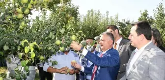 Vali Yazıcı, Korkuteli'nin ünlü karyağdı armudunun hasadına katıldı