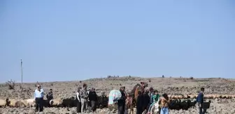 Kahramanmaraşlı göçerler dönüş yolunda