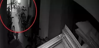 Bisiklet hırsızlığı güvenlik kamerasında