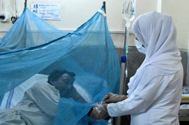 Pakistan'da Dang humması salgını endişesi! Bir günde 223 vaka tespit edildi Pakistan'da Dang humması salgını endişesi! Bir günde 223 vaka tespit edildi