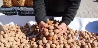 Yeni mahsul Kaman cevizi tezgahlardaki yerini aldı