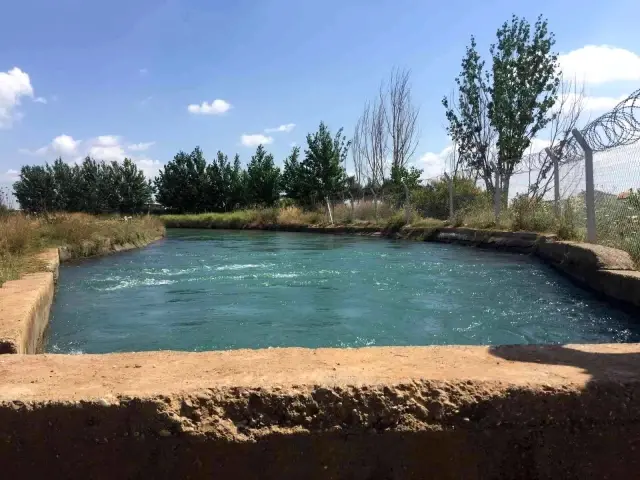 Öldürdü, yardım çağırdı, taziyesine gitti vicdan yapıp itiraf etti