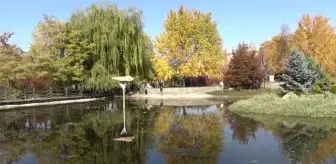 Erzurum sonbahar renklerine büründü