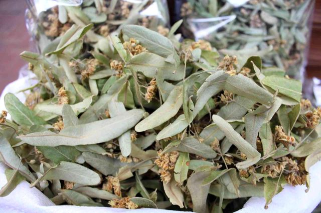 Verimin az olması nedeniyle ıhlamur fiyatları bu yıl cep yakıyor