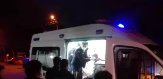 Ordu'da trafik kazası: 2 yaralı