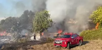 Çıkan yangında bir ahır ve konteyner yandı